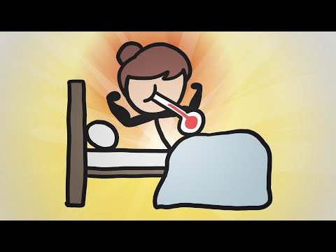 Fever Physiology: Mechanisms and Implications for Health