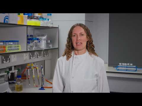 Advancements in Whole Plasmid Sequencing Technology