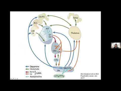 Schizophrenia Pathology: Insights from Recent Scientific Research