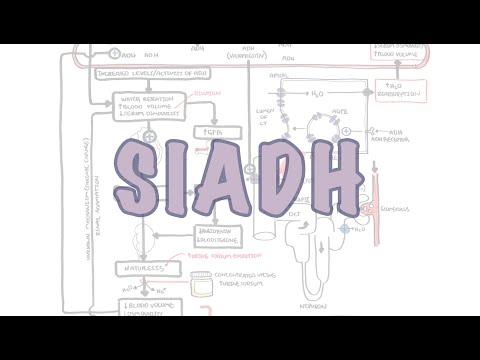 Pathophysiology of SIADH: Mechanisms and Clinical Implications