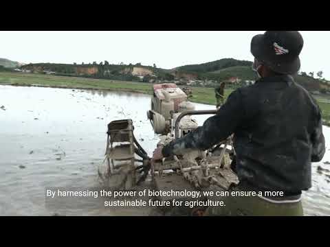 Advancements in Genetic Modification for Sustainable Farming