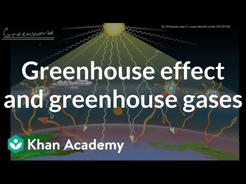 The Enhanced Greenhouse Effect and Climate Change Dynamics
