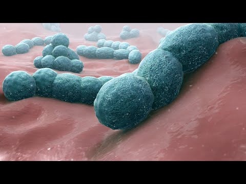 Microorganism Taxonomy and Its Role in Scientific Research