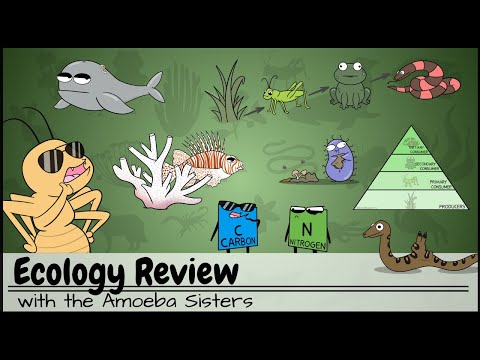 Diverse Ecology Types and Their Roles in Ecosystem Health