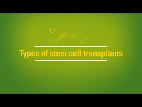 Comparing Autologous and Allogeneic Treatments in Science