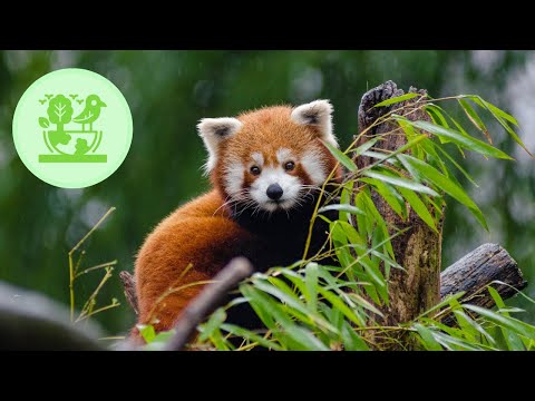 Science-Driven Conservation for a Sustainable Future