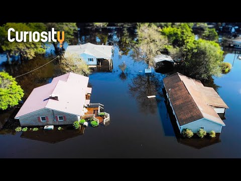 Diverse Environmental Issues Shaping Our Planet Today