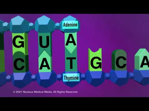 The Role of DNA Strings in Genetic Research and Medicine