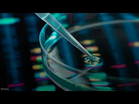 The pmp22 Gene and Its Role in Peripheral Neuropathy