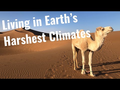 Llama Anatomy Unveiled: Insights for Scientific Study