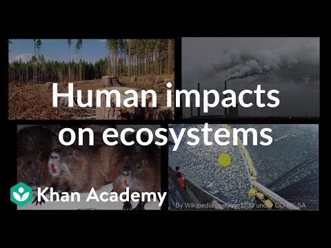 Climate Change and Its Consequences for Ecosystems and Humanity