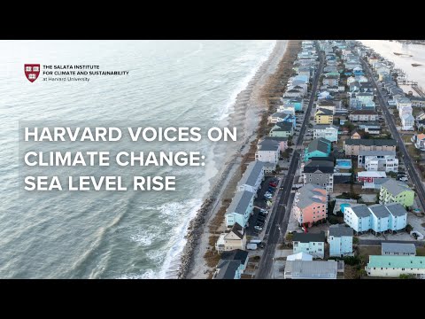 Projected Sea Level Rise by 2050 and Its Global Implications