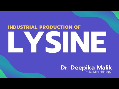 Chemical Structure of L Lysine: A Scientific Insight