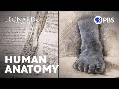 Leonardo da Vinci and the Legacy of Human Anatomy Science
