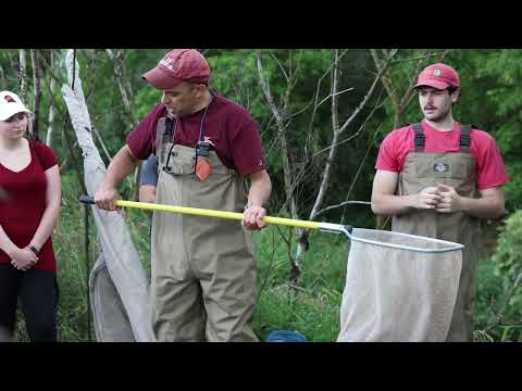 Advancing Wildlife Conservation Through Scientific Engagement