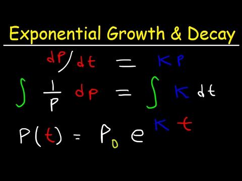 Calculus Applications in Biological Research and Modeling