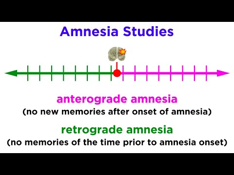 Neurobiology of Memory: Mechanisms and Implications for Science