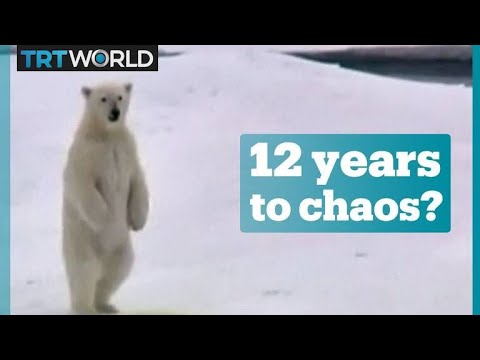 Climate Change: A Scientific Outlook on 2030's Challenges