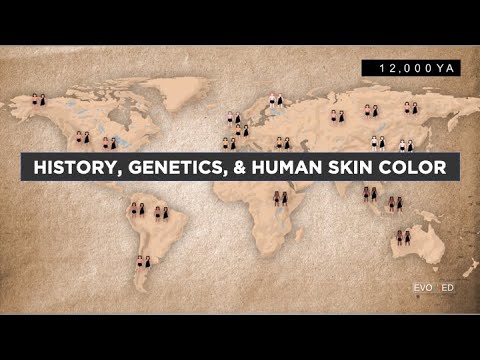 Genetic Factors Shaping Human Skin Color Diversity