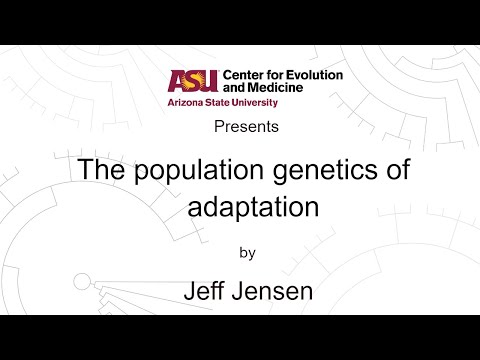 Population Genetics and Its Role in Evolutionary Science