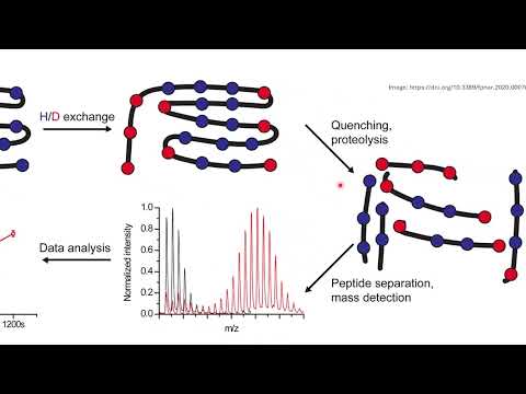 Advancements in HD Exchange Mass Spectrometry Techniques